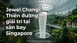 jewel changi thien duong giai tri tai san bay singapore